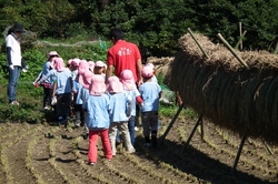 111019aigamo2.jpg