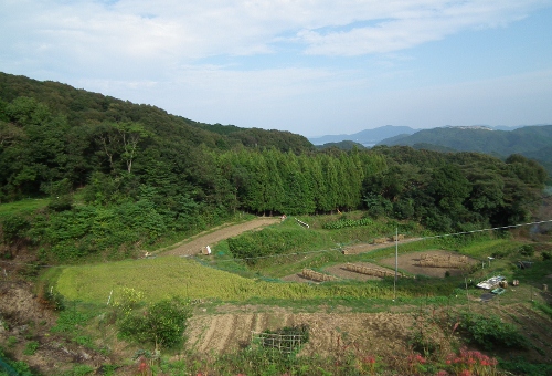 111019satoyama.jpg