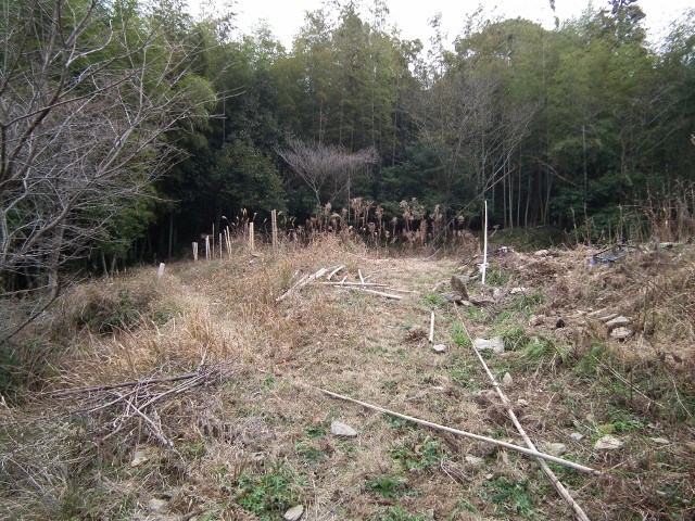 20110220hogetto13.jpg