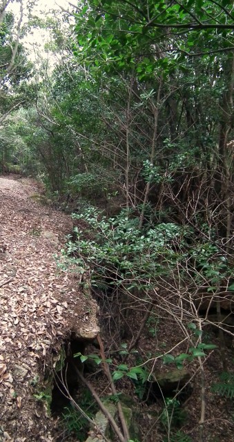 20110220hogetto16.jpg