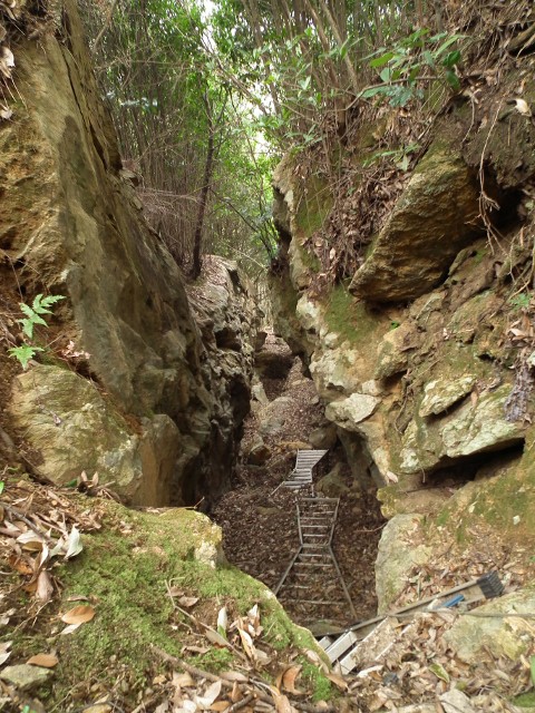 20110220hogetto18.jpg