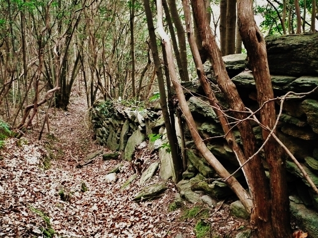 20110220inogaki.jpg