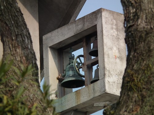 20110302shoutou.jpg