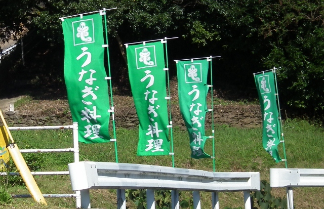 2011111irigutiya1.jpg