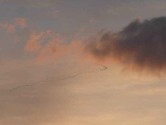 201201027.jpg