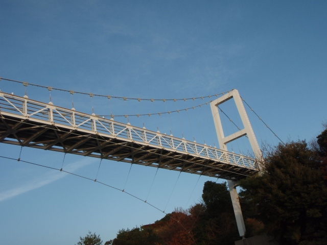 201201028.jpg