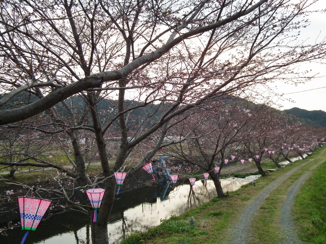 20120330tone.jpg