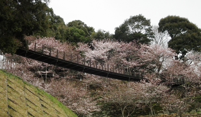 20120330tyuuou.jpg