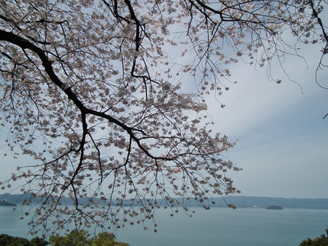 20120402wasansirou2.jpg