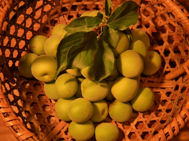 20120610ume1.jpg