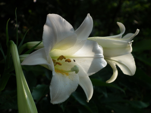 20120830.jpg