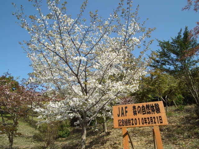 201209isanouraaa2.jpg