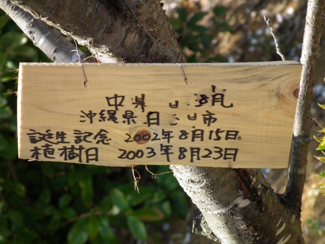 201209isanouraaa3.jpg