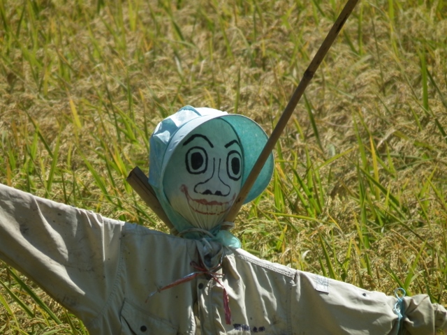 20130922a (640x480).jpg