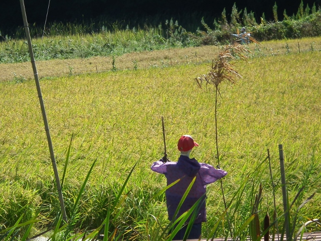 20130922d (640x480).jpg