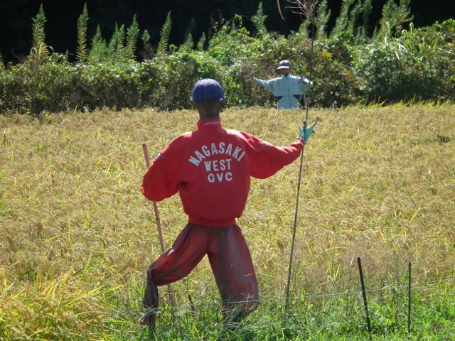 20130922e (640x480).jpg