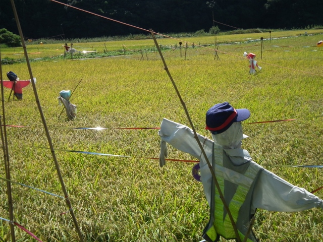 20130922ee (640x480).jpg