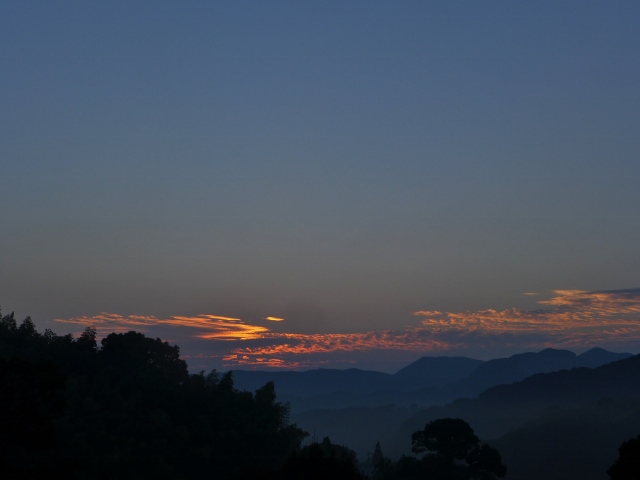 20131031b.jpg