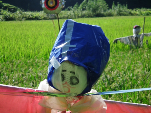 20140830kakasi9.jpg