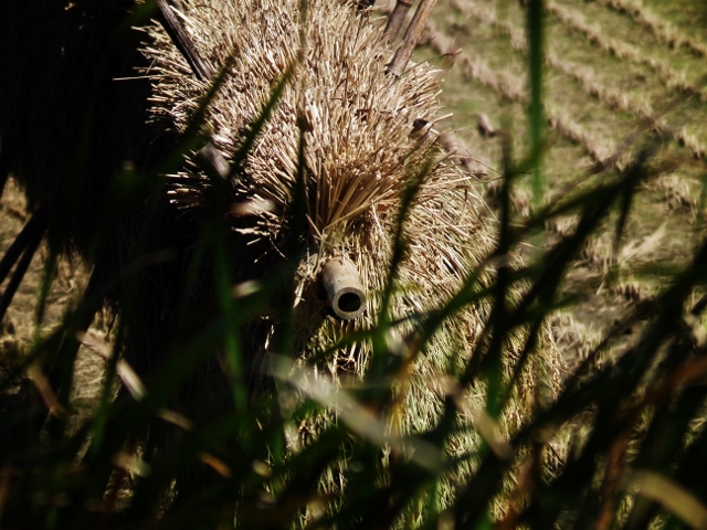 20141010a.jpg