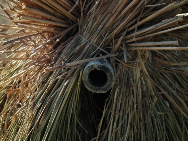20141010b.jpg