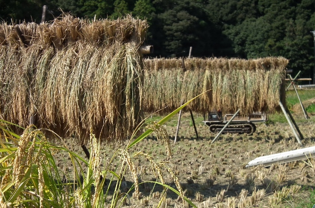 20141010f.jpg