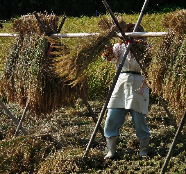 20141010h.jpg