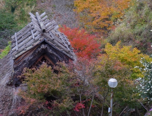 20141110yamagutiryokan19.jpg