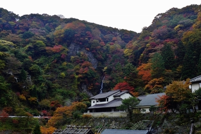 20141110yamagutiryokan3.jpg