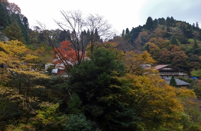 20141110yamagutiryokan4.jpg