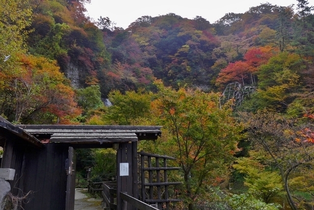 20141110yamagutiryokan8.jpg