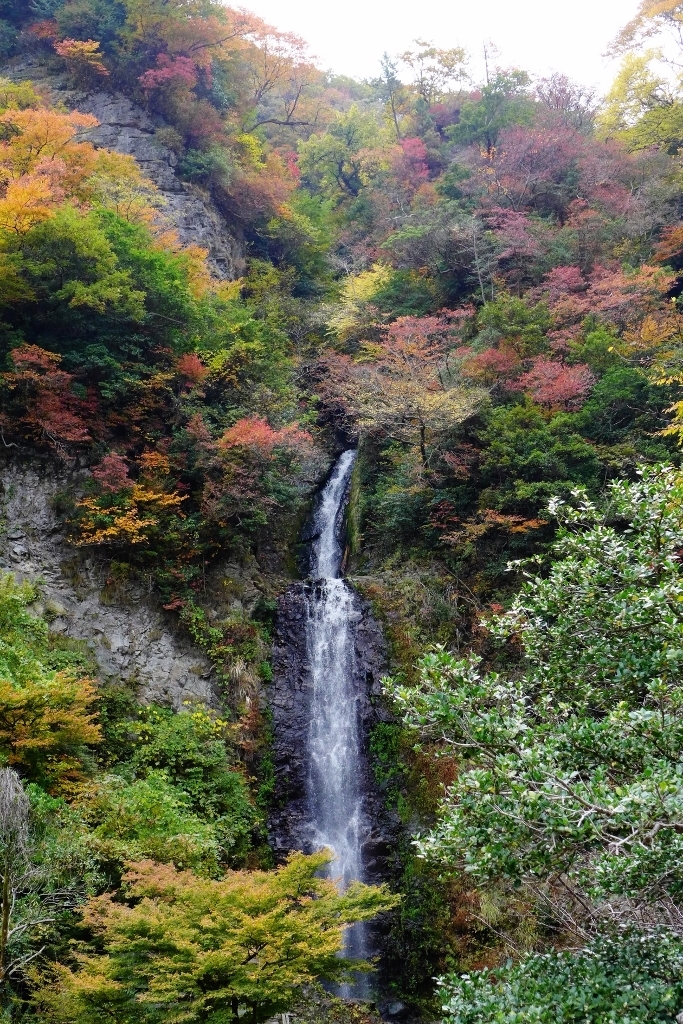 20141110yamagutiryokann.jpg