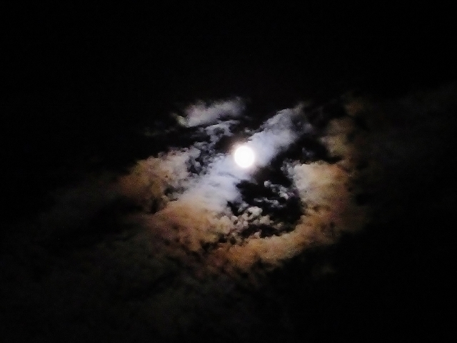 20161014tuki4.jpg
