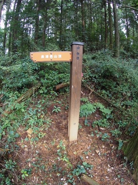 201611nagauradakehyousiki3.jpg