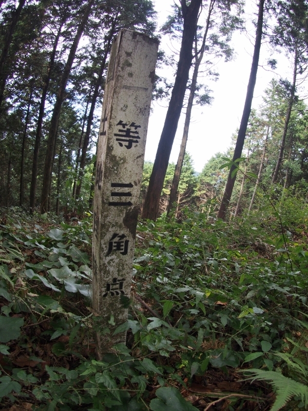 201611nagauradaketyoujou3.jpg