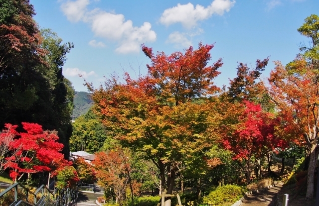 201611tyoujuu5.jpg