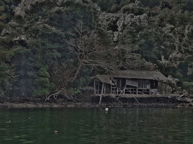 20161208haioku1 .jpg
