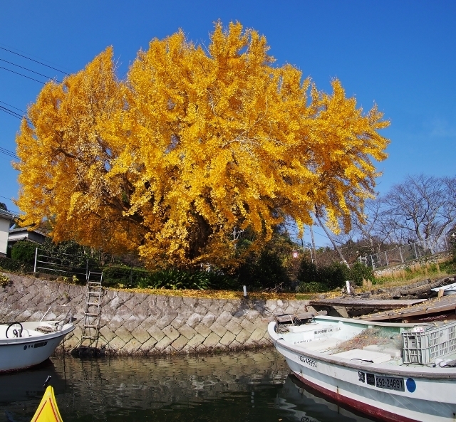 20161208ityou4.jpg