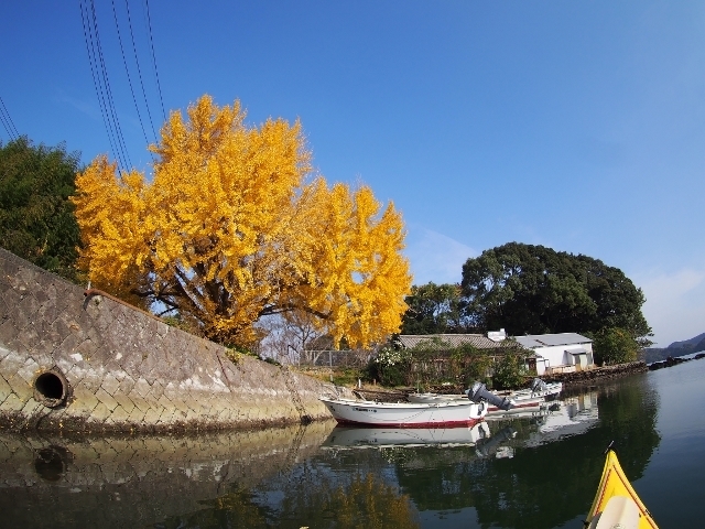 20161208ityou5.jpg