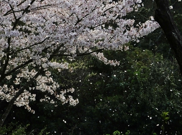 20180330utino2.jpg