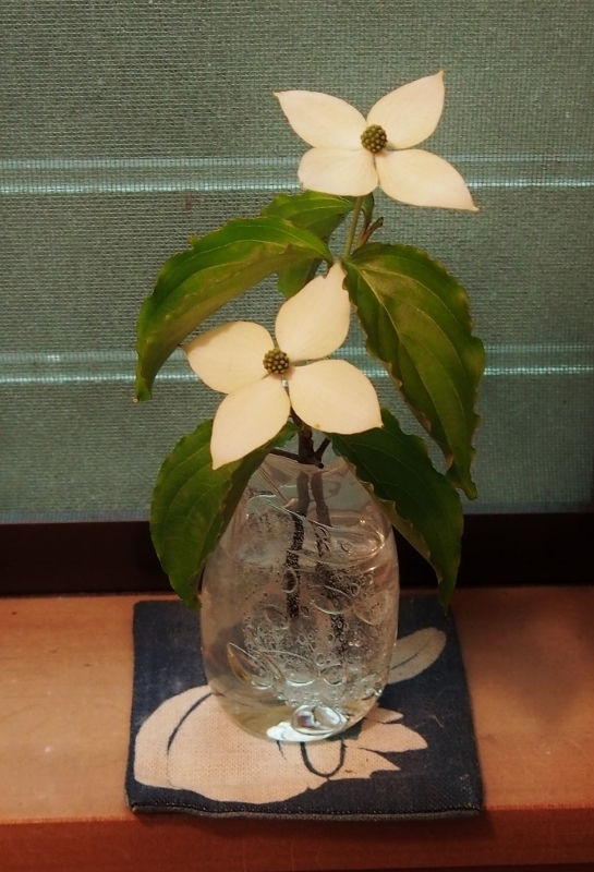 201805yamabousi3.jpg