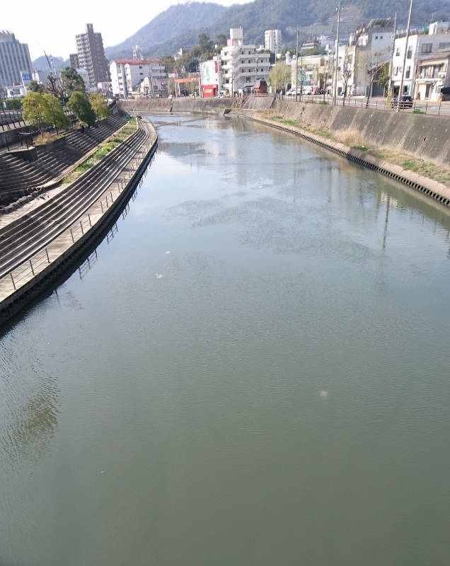 20190309urakamigawa1.jpg