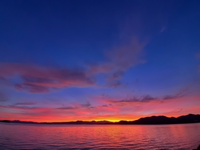 thumbnail_20190811_052200 (640x480).jpg